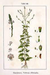 Essential Oil Blend Encouraging (Verbena Lemon)