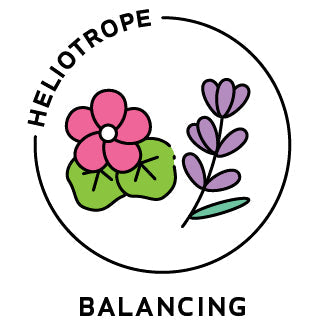 Essential Oil Blend Balancing (Rose Geranium Lavender)