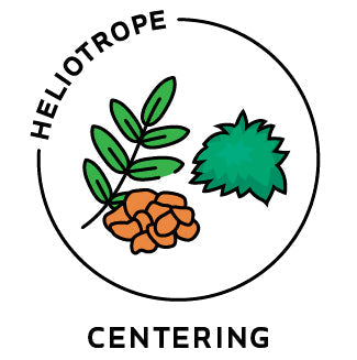 Essential Oil Blend Centering (Frankincense Moss)