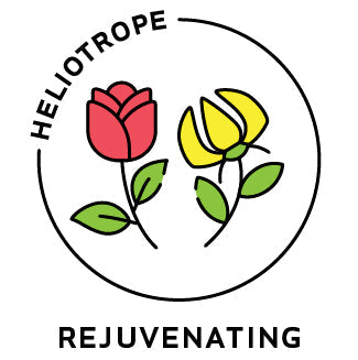 Essential Oil Blend Rejuvenating (Rose Ylang Ylang)